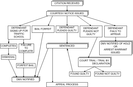 Traffic Court Flow Chart